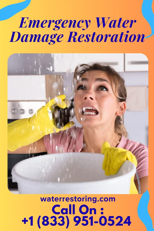 Emergency Water Damage Restoration in Fertile, IA